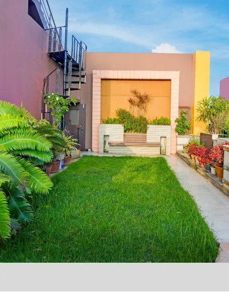 Rooftop Garden